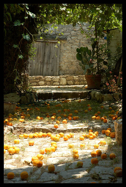 Walking over Oranges